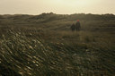 BUITEN BEELD Foto: 45575