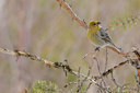 BUITEN BEELD Foto: 45579
