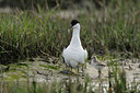 BUITEN BEELD Foto: 45588