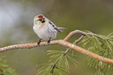 BUITEN BEELD Foto: 45602