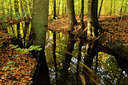 BUITEN BEELD Foto: 45639