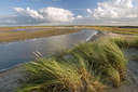 BUITEN BEELD Foto: 45692
