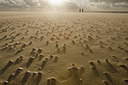 BUITEN BEELD Foto: 45693