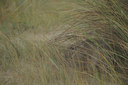 BUITEN BEELD Foto: 45714
