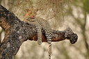 BUITEN BEELD Foto: 45722