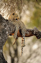 BUITEN BEELD Foto: 45724