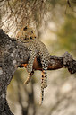 BUITEN BEELD Foto: 45725