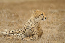 BUITEN BEELD Foto: 45788