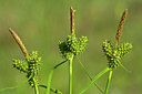 BUITEN BEELD Foto: 45817
