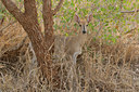 BUITEN BEELD Foto: 45837