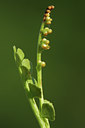 BUITEN BEELD Foto: 45915