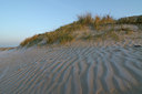 BUITEN BEELD Foto: 45930