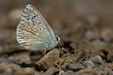 BUITEN BEELD Foto: 45975