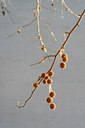 BUITEN BEELD Foto: 46016