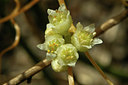 BUITEN BEELD Foto: 46041