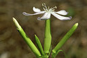 BUITEN BEELD Foto: 46047