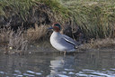 BUITEN BEELD Foto: 46071