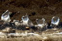 BUITEN BEELD Foto: 46092