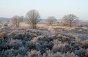 BUITEN BEELD Foto: 46112