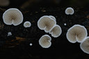 BUITEN BEELD Foto: 46131