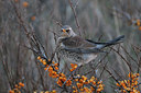 BUITEN BEELD Foto: 46156