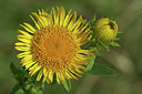 BUITEN BEELD Foto: 46161