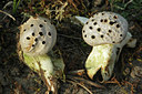 BUITEN BEELD Foto: 46244