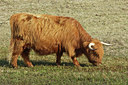 BUITEN BEELD Foto: 46247