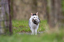 BUITEN BEELD Foto: 46276