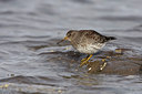 BUITEN BEELD Foto: 46372