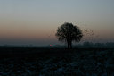 BUITEN BEELD Foto: 46387