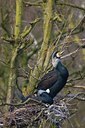 BUITEN BEELD Foto: 46455