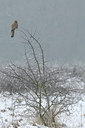 BUITEN BEELD Foto: 46586