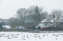 BUITEN BEELD Foto: 46591