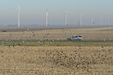 BUITEN BEELD Foto: 46686