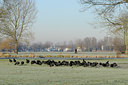 BUITEN BEELD Foto: 46687