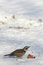 BUITEN BEELD Foto: 46714