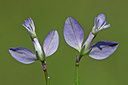 BUITEN BEELD Foto: 46745