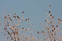 BUITEN BEELD Foto: 46758
