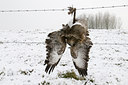 BUITEN BEELD Foto: 46806