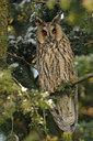 BUITEN BEELD Foto: 46866