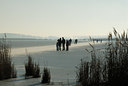 BUITEN BEELD Foto: 46982