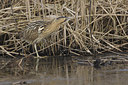 BUITEN BEELD Foto: 46995