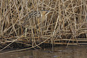 BUITEN BEELD Foto: 46996