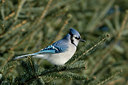 BUITEN BEELD Foto: 47062