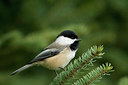 BUITEN BEELD Foto: 47093