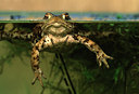 BUITEN BEELD Foto: 47127