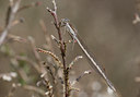 BUITEN BEELD Foto: 47208