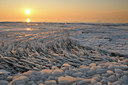 BUITEN BEELD Foto: 47252