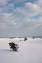 BUITEN BEELD Foto: 47295